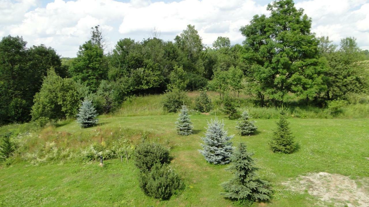 Gutkowa Koliba Villa Jasliska Buitenkant foto