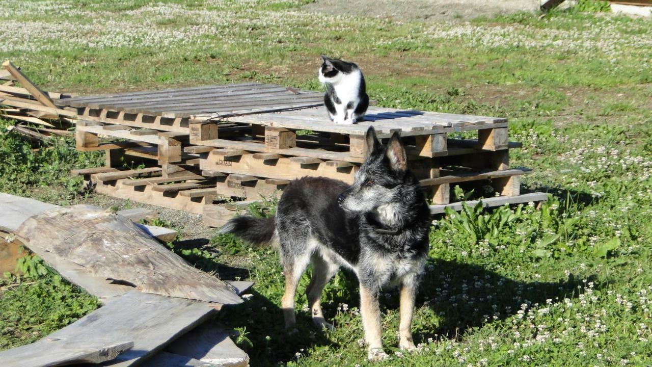 Gutkowa Koliba Villa Jasliska Buitenkant foto