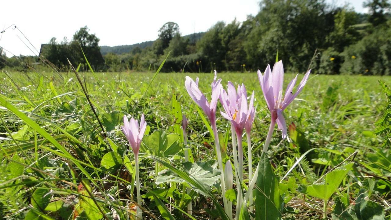 Gutkowa Koliba Villa Jasliska Buitenkant foto