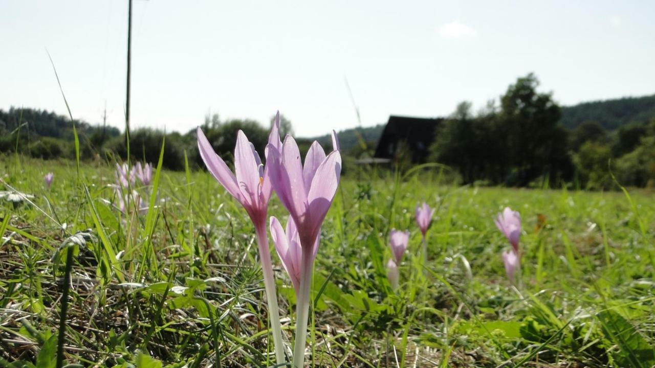 Gutkowa Koliba Villa Jasliska Buitenkant foto